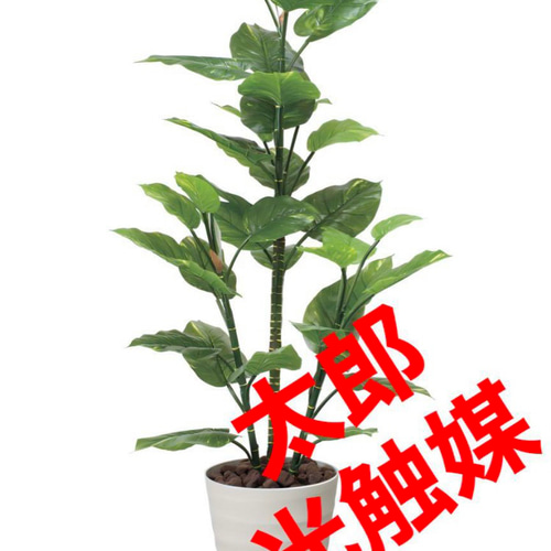 光触媒 人工観葉植物 ウォールグリーン フェイクグリーン フレッシュ