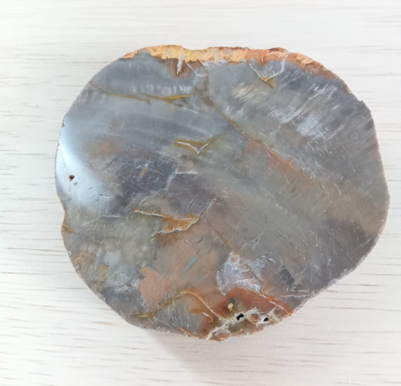 珪化木　天然石　マーブル　グレー　おおきめ 1枚目の画像