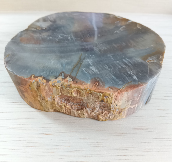 珪化木　天然石　マーブル　グレー　おおきめ 4枚目の画像