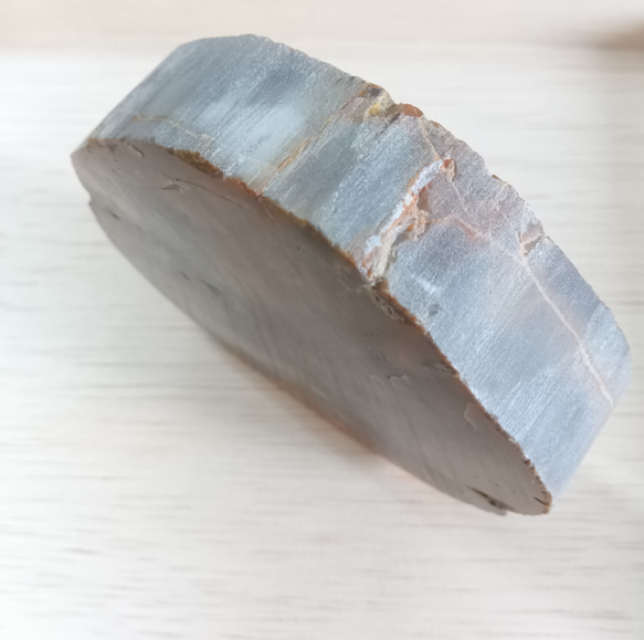 珪化木　天然石　マーブル　グレー　おおきめ 5枚目の画像