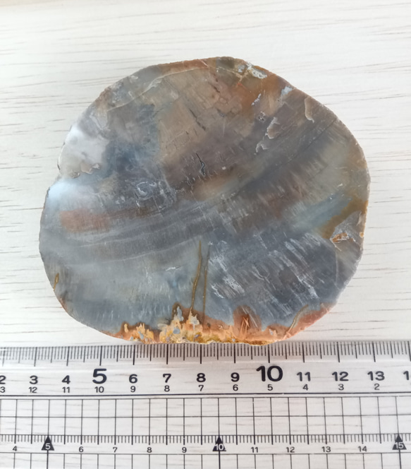 珪化木　天然石　マーブル　グレー　おおきめ 6枚目の画像