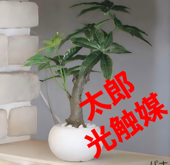 光触媒　人工観葉植物　ウォールグリーン　フェイクグリーン　パキラポット高さ27 1枚目の画像