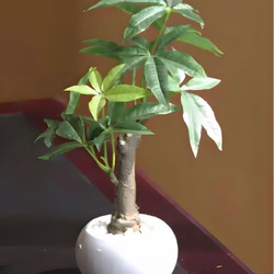 光触媒　人工観葉植物　ウォールグリーン　フェイクグリーン　パキラポット高さ27 2枚目の画像