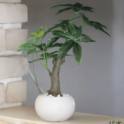光触媒　人工観葉植物　ウォールグリーン　フェイクグリーン　パキラポット高さ27 5枚目の画像