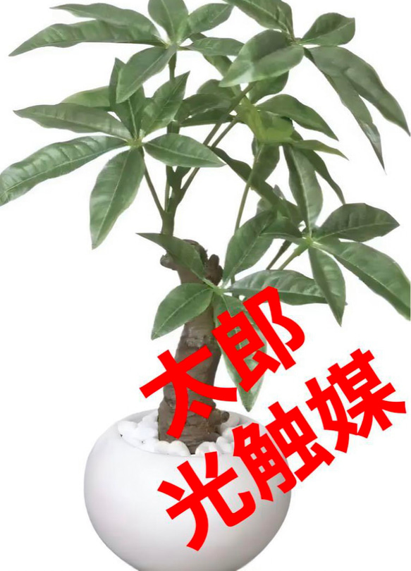 光触媒　人工観葉植物　ウォールグリーン　フェイクグリーン　パキラポット高さ27 3枚目の画像