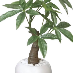 光触媒　人工観葉植物　ウォールグリーン　フェイクグリーン　パキラポット高さ27 4枚目の画像