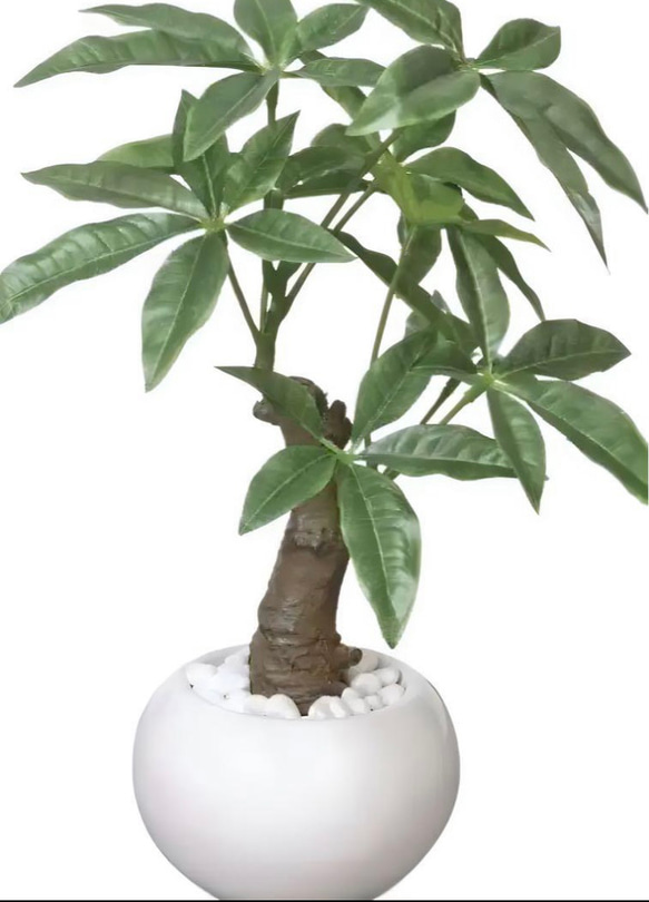 光触媒　人工観葉植物　ウォールグリーン　フェイクグリーン　パキラポット高さ27 4枚目の画像