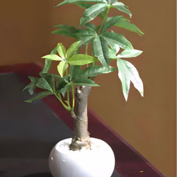 光触媒　人工観葉植物　ウォールグリーン　フェイクグリーン　パキラポット高さ27 8枚目の画像