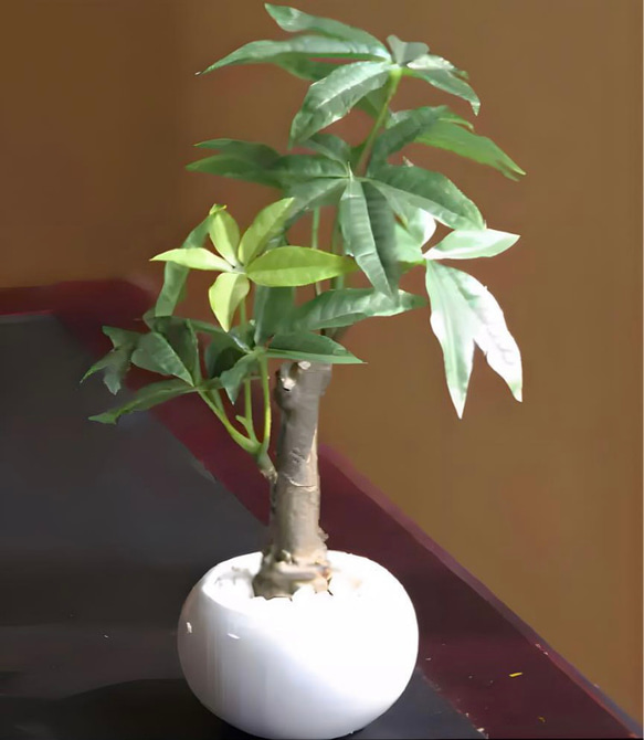 光触媒　人工観葉植物　ウォールグリーン　フェイクグリーン　パキラポット高さ27 8枚目の画像