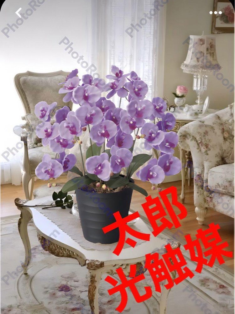 光触媒 人工観葉植物 ウォールグリーン フェイクグリーン キング 胡蝶