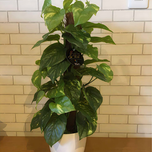 光触媒 人工観葉植物 ウォールグリーン フェイクグリーン フレッシュ