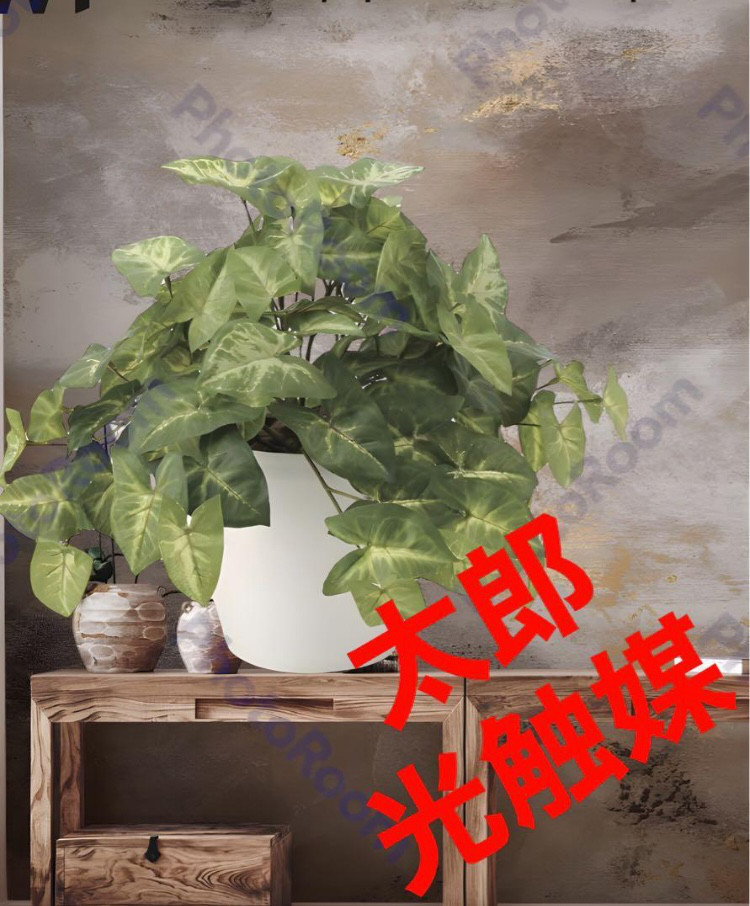 光触媒　人工観葉植物　ウォールグリーン　フェイクグリーン　フレッシュカラジューム