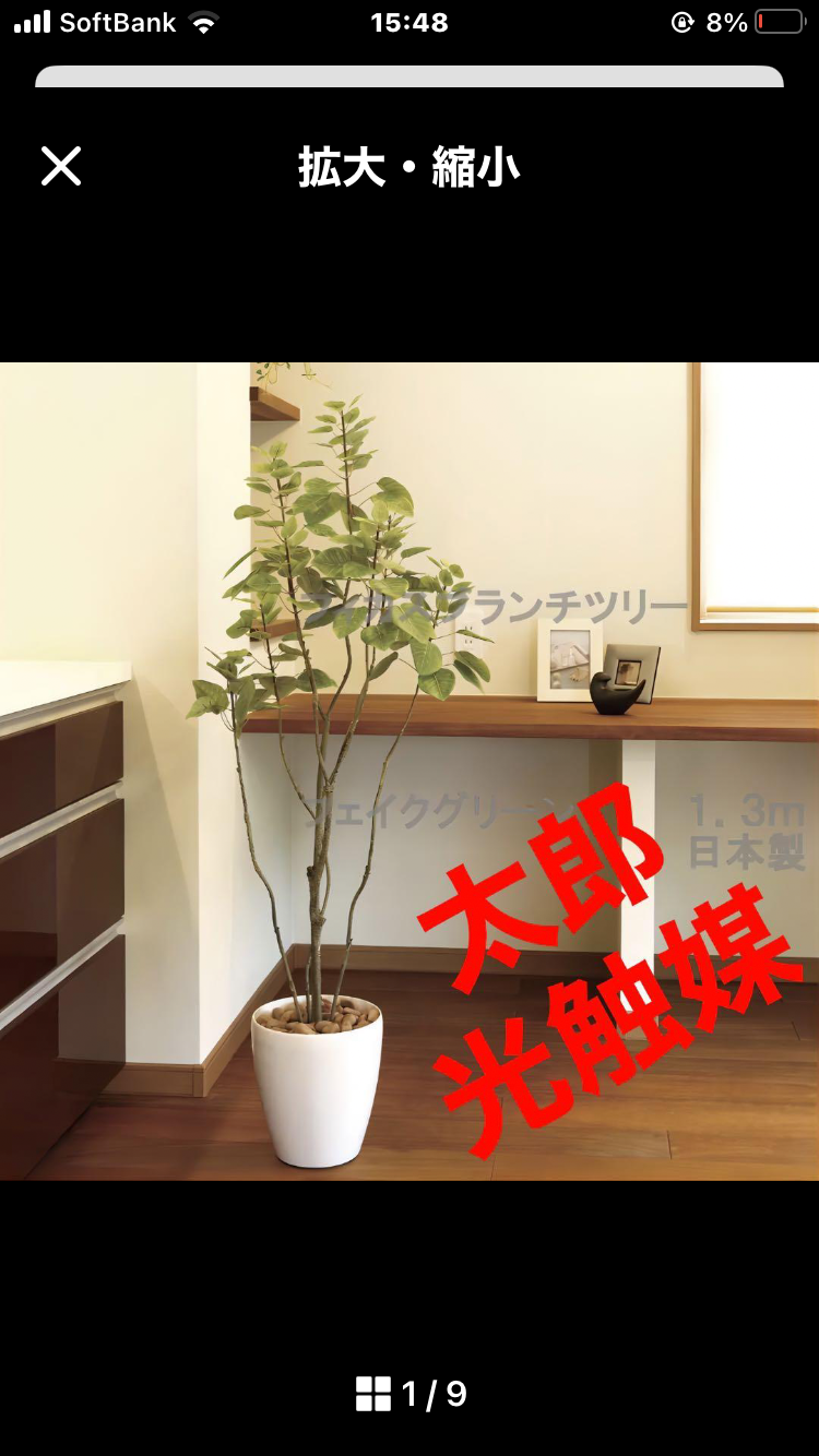 光の楽園 光触媒 人工観葉植物 ウォールグリーン フェイク 光の楽園 光触媒 人工観葉植物 ウォールグリーン フェイク