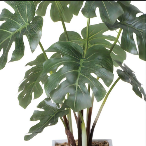 光触媒 人工観葉植物 ウォールグリーン フェイクグリーン モンステラ