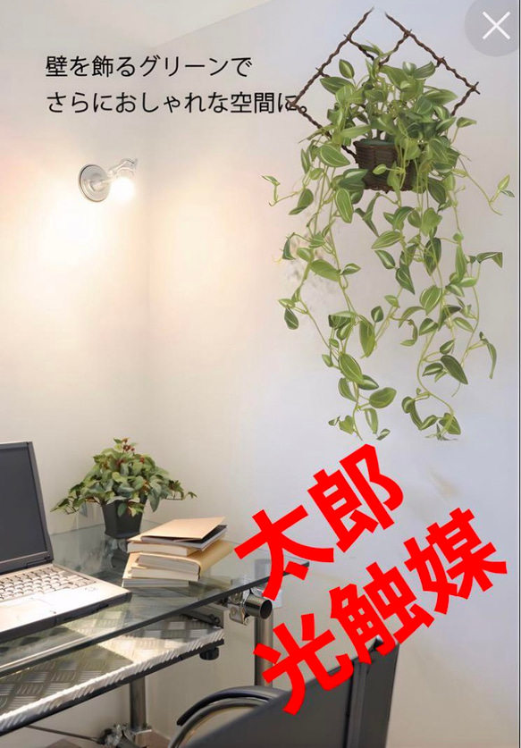 光触媒　人工観葉植物　フェイクグリーン　壁掛けトラディスカンティア 光触媒 人工観葉植物 フェイクグリーン 壁掛けトラディスカ