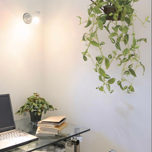 光触媒　人工観葉植物　フェイクグリーン　壁掛けトラディスカンティア 光触媒 人工観葉植物 フェイクグリーン 壁掛けトラディスカ