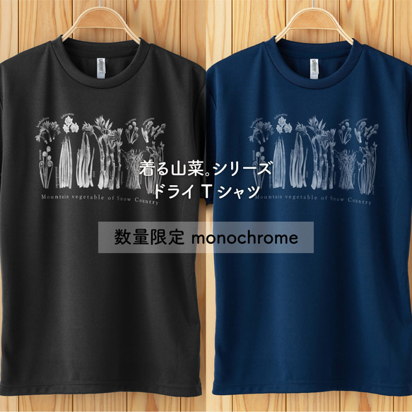 ［着る山菜］山菜図鑑ドライTシャツ（ブラック・インディゴ）［数量限定］ 1枚目の画像