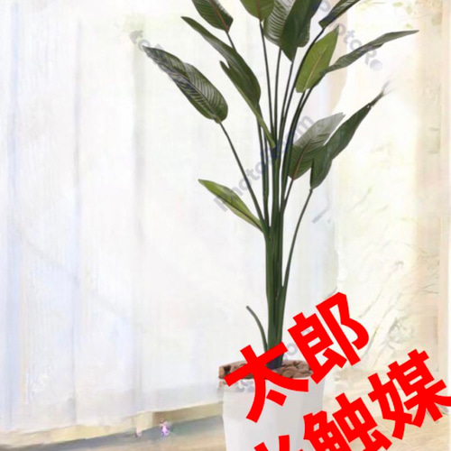 光触媒 人工観葉植物 ウォールグリーン フェイクグリーン