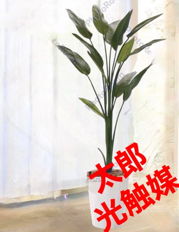 光触媒　人工観葉植物　ウォールグリーン　フェイクグリーン　ストレチア1.6m 光触媒 人工観葉植物 ウォールグリーン フェイクグリーン ストレチア