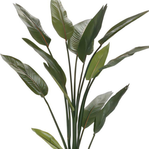 光触媒 人工観葉植物 ウォールグリーン フェイクグリーン ストレチア