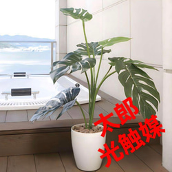 d804367952bbca556ec0c7cbddc589