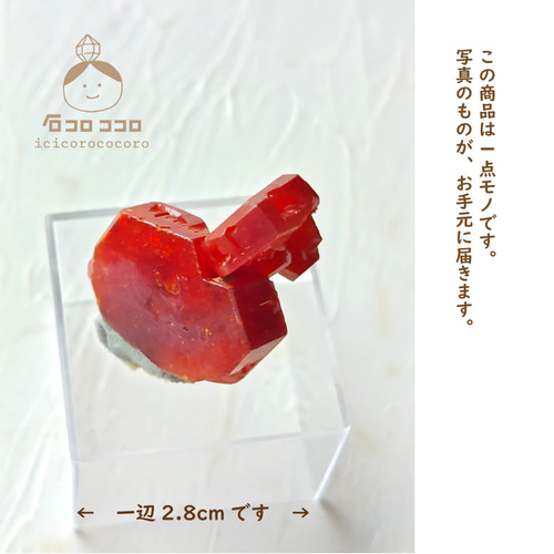 は自分にプチご褒美を 国内送料無料》 赤い結晶 ✦ バナディナイト 08 「交差 コレクション