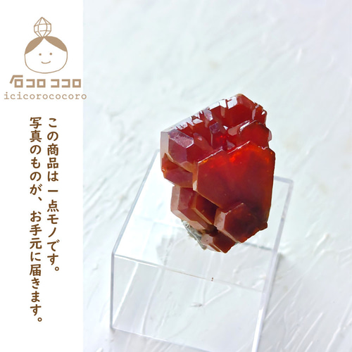 赤い結晶 ✦ バナディナイト 10 「サンドイッチ」✦ モロッコ直