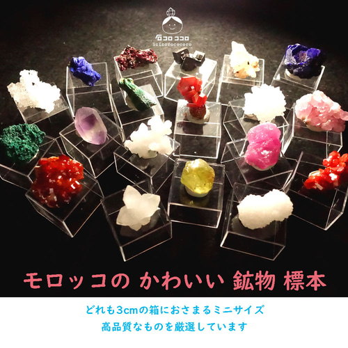 赤い結晶 ✦ バナディナイト 10 「サンドイッチ」✦ モロッコ直