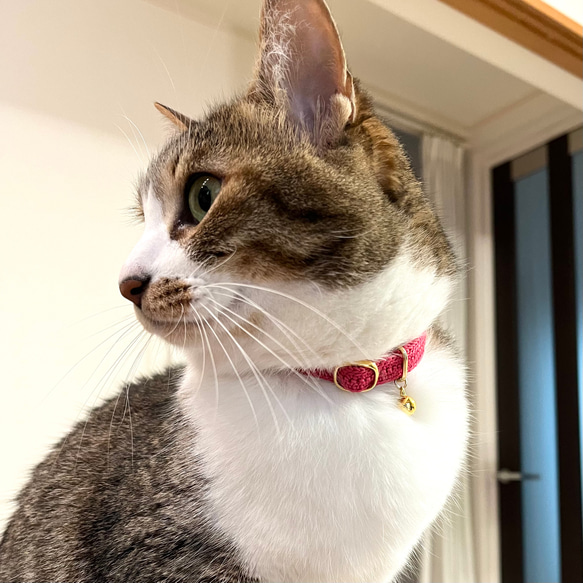 ぷっくりお花　ビビッド　猫さんにやさしい首輪【かぎ針編み　猫の首輪　猫　首輪　セーフティバックル　アジャスター】 6枚目の画像