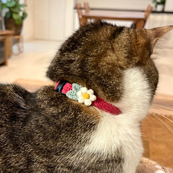 ぷっくりお花　ビビッド　猫さんにやさしい首輪【かぎ針編み　猫の首輪　猫　首輪　セーフティバックル　アジャスター】 3枚目の画像