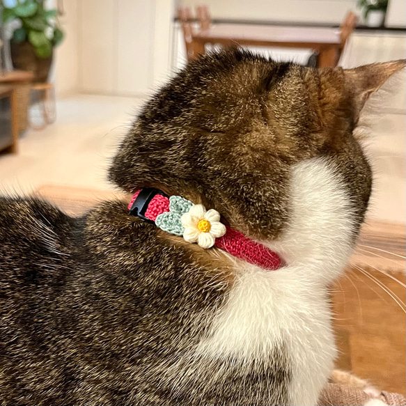 ぷっくりお花　ビビッド　猫さんにやさしい首輪【かぎ針編み　猫の首輪　猫　首輪　セーフティバックル　アジャスター】 3枚目の画像