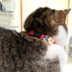ぷっくりお花　ビビッド　猫さんにやさしい首輪【かぎ針編み　猫の首輪　猫　首輪　セーフティバックル　アジャスター】 4枚目の画像
