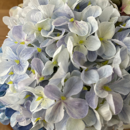 SALE】ブートニア付き紫陽花ブーケ ブーケ violaflower 通販 SALE】ブートニア付き紫陽花ブーケ ブーケ violaflower 通販