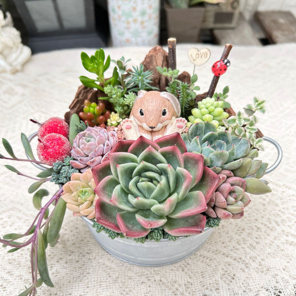 可愛い♡お座りうさぎさん♪多肉植物寄せ植え　プレゼント 1枚目の画像