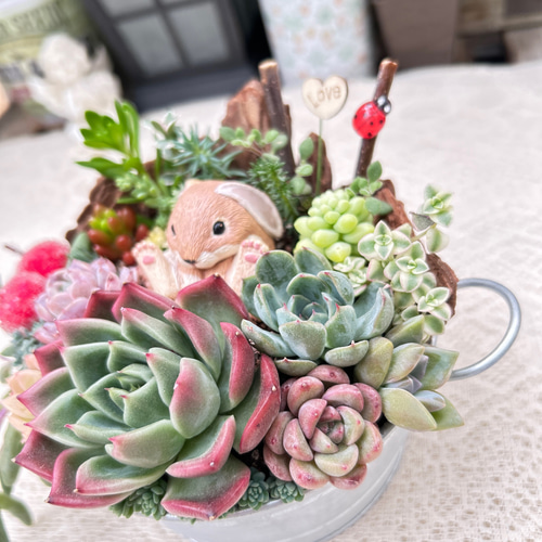 可愛い♡お座りうさぎさん♪多肉植物寄せ植え プレゼント 多肉