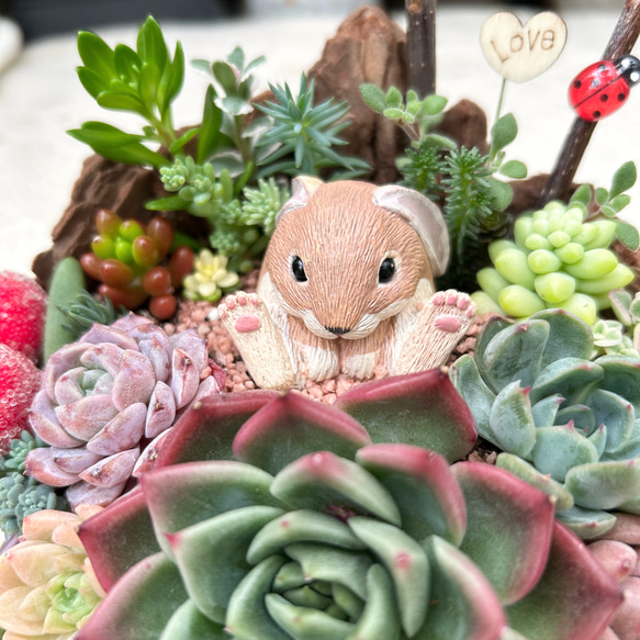 可愛い♡お座りうさぎさん♪多肉植物寄せ植え　プレゼント 2枚目の画像