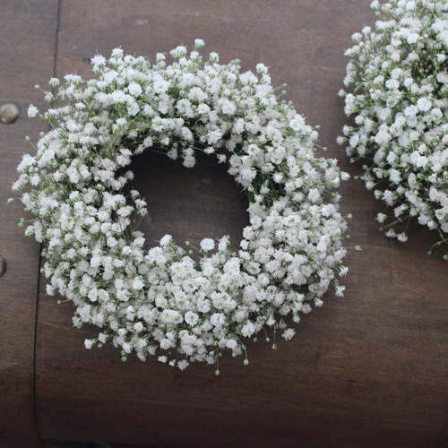 かすみそうふわふわリース ドライフラワー petit chocolat 通販