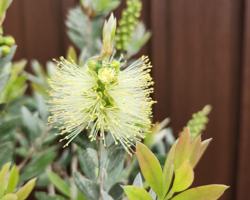 3df35a9e87ad8697346a5e64dd220b