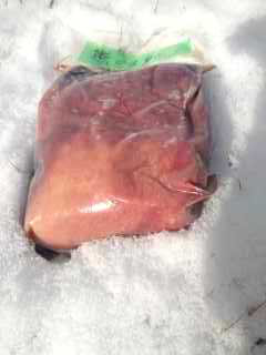 木曽駒産ジビエ　夏熊ロース　1kg 10,010円