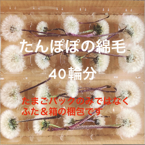 ✨たんぽぽの綿毛✨　イヤリング価格となっております ✨たんぽぽの綿毛✨ イヤリング価格となっております