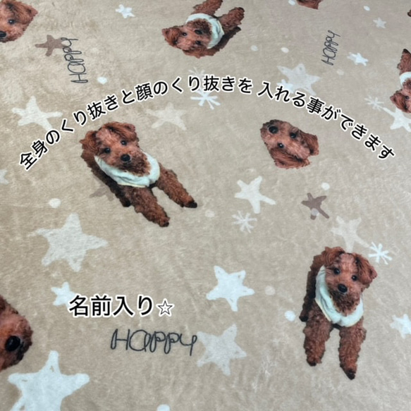 【オーダーメイド】星柄ブランケット 名前入り♪　ひざ掛け　うちの子　犬・猫・お子様など　母の日のプレゼントにも☆ 2枚目の画像