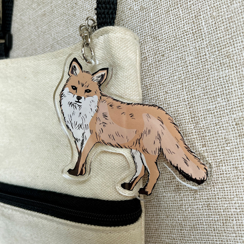 アクリルキーホルダー ホンドギツネ キツネ キーホルダー tanuki-ms