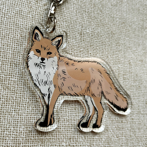 アクリルキーホルダー ホンドギツネ キツネ キーホルダー tanuki