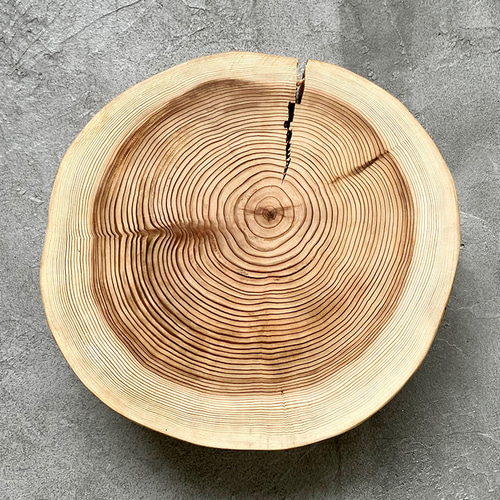 大きい杉の丸太 研磨・ワックス済 直径約30㎝ 厚さ10㎝ アウトドアや