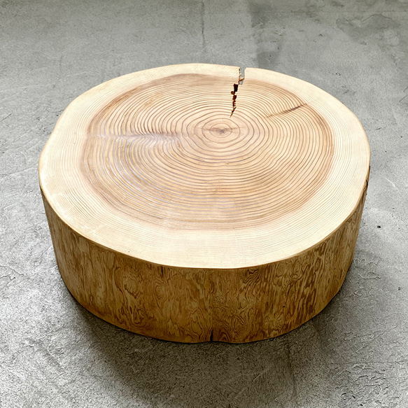 大きい杉の丸太 研磨・ワックス済 直径約30㎝ 厚さ10㎝ アウトドアや