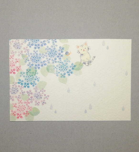 紫陽花咲く季節のポストカード 2枚目の画像