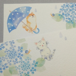 紫陽花咲く季節のポストカード 4枚目の画像