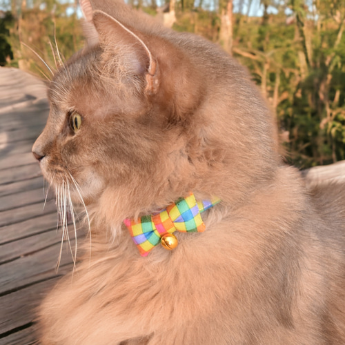 レース編み風 紫陽花カラー【蝶ネクタイ】＊猫(&小型犬)首輪 リード  