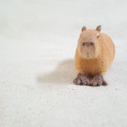 羊毛フェルト　カピバラ 21e004f28d92c6c424b860988b76e1