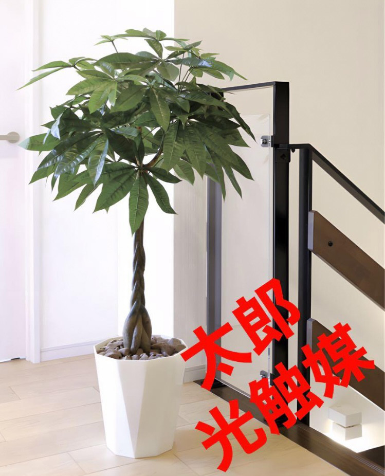 光触媒　人工観葉植物　ウォールグリーン　フェイクグリーン　パキラ1.25M